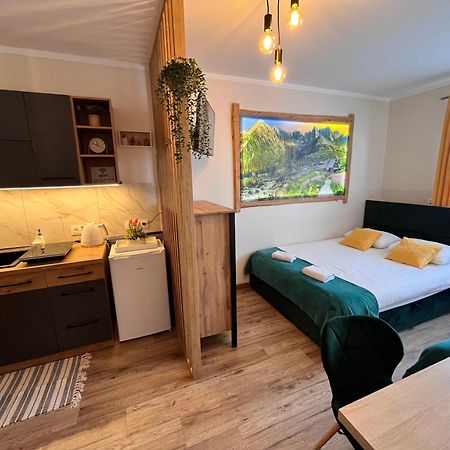Banska Wyzna Widokowy Apartament - Pokoje Goscinne מראה חיצוני תמונה