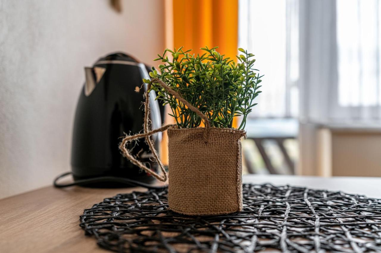 Banska Wyzna Widokowy Apartament - Pokoje Goscinne מראה חיצוני תמונה